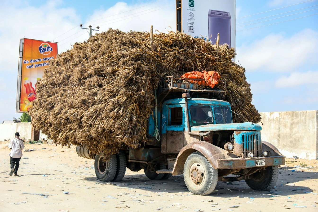 Very Old Blue truck overloaded with grass in indian village